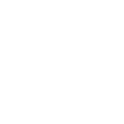 buttonbackground-circle-white-17_256.png