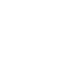 buttonbackground-rectangle-smaler-white-47_256.png