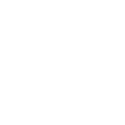 buttonbackground-triangle-white-27_256.png