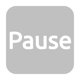 video-4-words-pause-text-button-gray-505_256.png